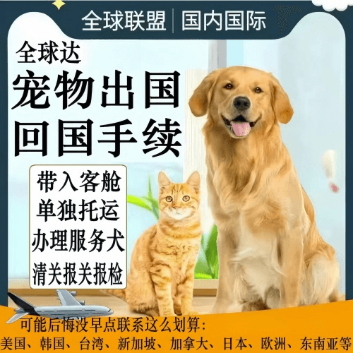 太原市宠物托运到柬埔寨宠物入境规定和要求