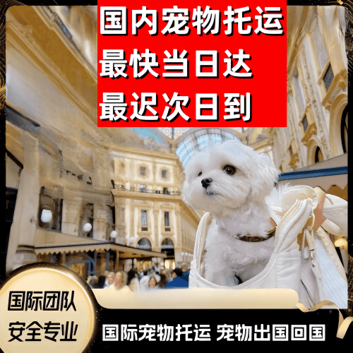 太原市到澳大利亚（澳洲）宠物入境规定和要求