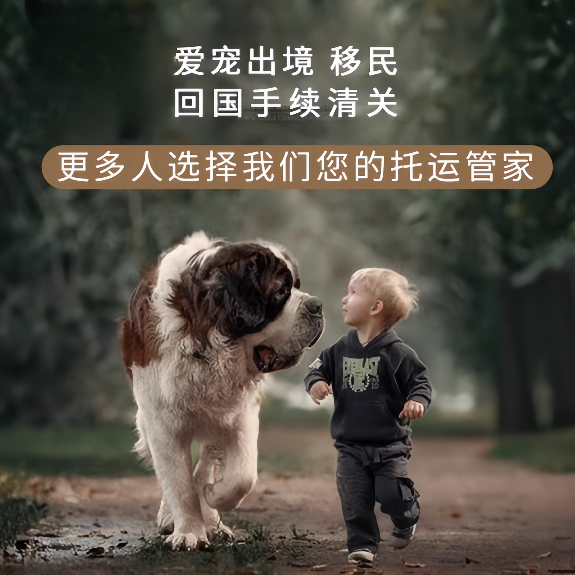 满财太原市宠物全球达宠物托运在遵守入境目的地政策的条件