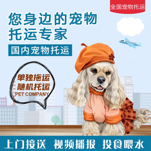 满财太原市宠物全球达宠物托运作为专业的宠物运输代理机构